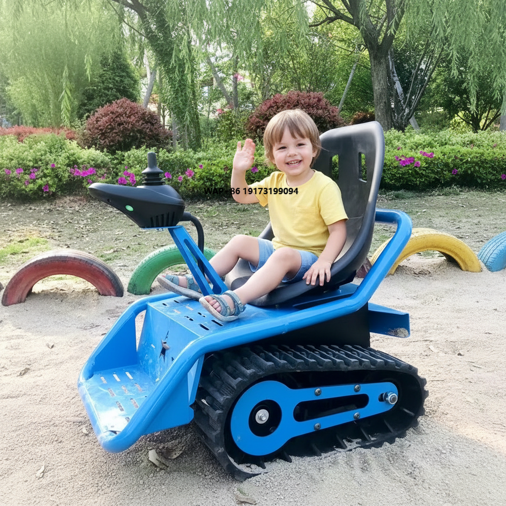 Electric Go Kart for Family Ve - Kids Outdoor Venues review and price