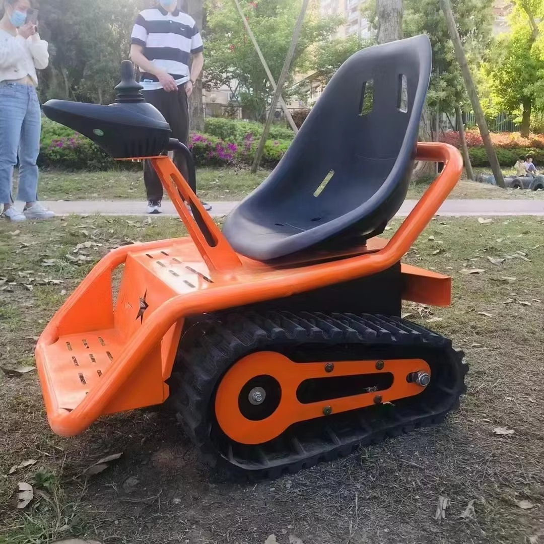 Electric Go Kart for Family Ve - Kids Outdoor Venues review and price