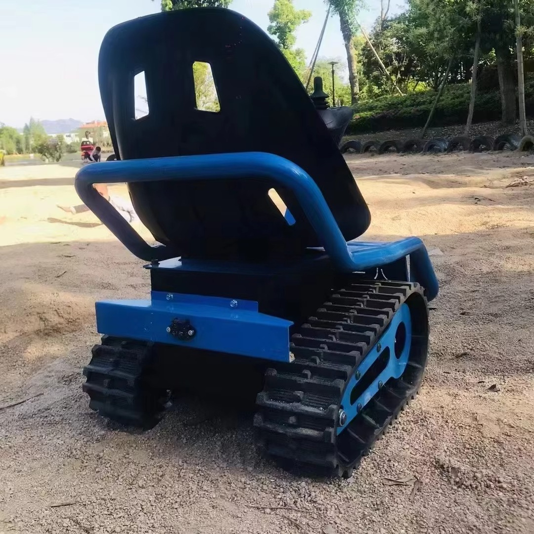 Electric Go Kart for Family Ve - Kids Outdoor Venues review and price