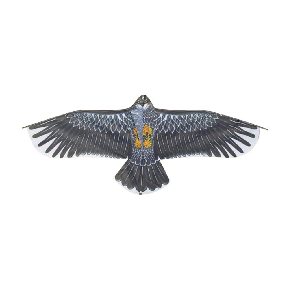 1.1m Eagle Kite With 30m Kite  - Kids Outdoor Storage review and price