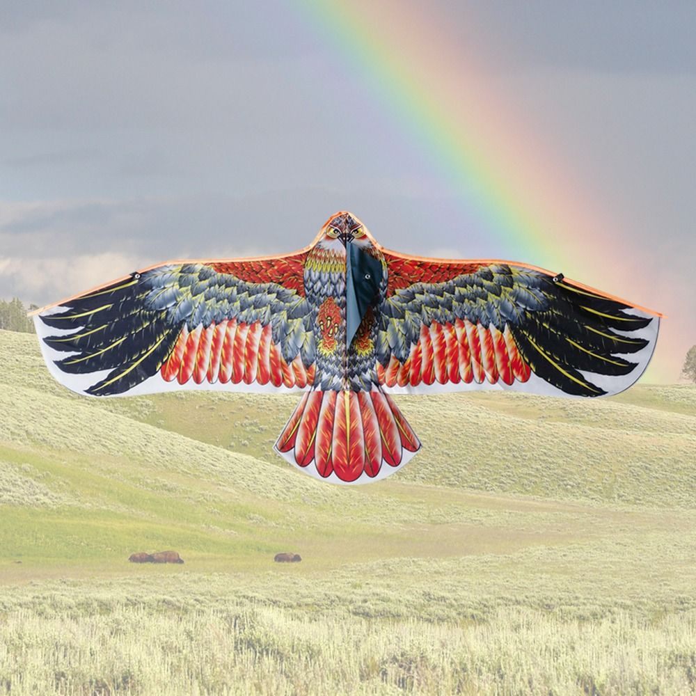 1.1m Eagle Kite With 30m Kite  - Kids Outdoor Storage review and price
