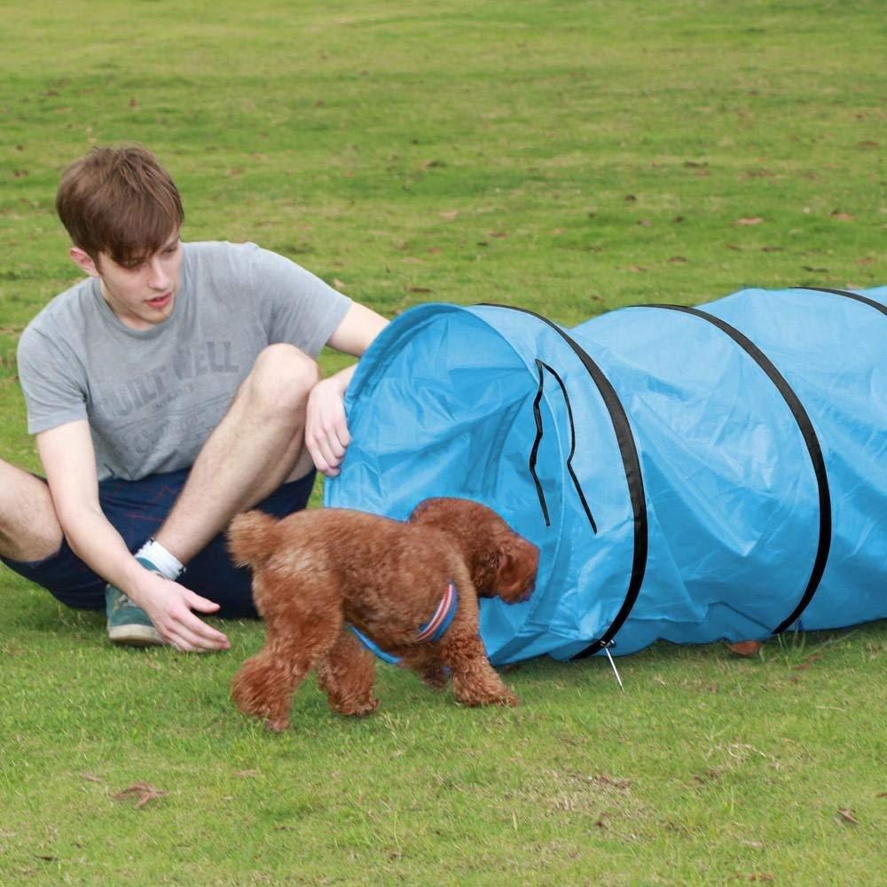 Kids Play Tunnel Pet Dog Tent  - Kids Outdoor Tunnel review and price